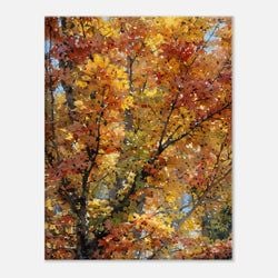Framing – Canvas