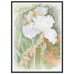 Framing – Framed Print