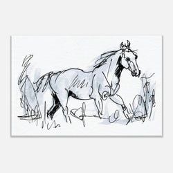 Framing – Canvas