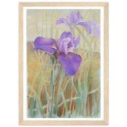 Framing – Framed Print
