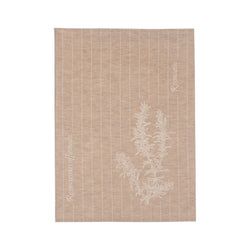 Farbe – Beige
