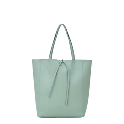 Farbe – Aloe Vera