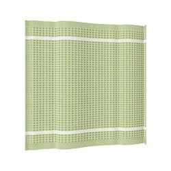Farbe – Linde