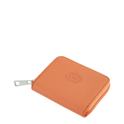 Farbe – Apricot Coral