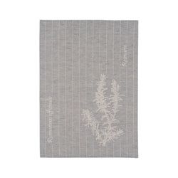 Farbe – Denim