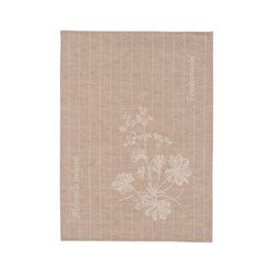 Farbe – Beige