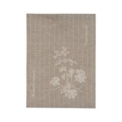 Farbe – Olive