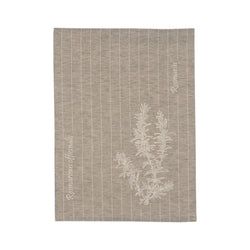 Farbe – Olive