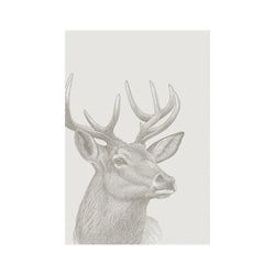 Farbe – Taupe