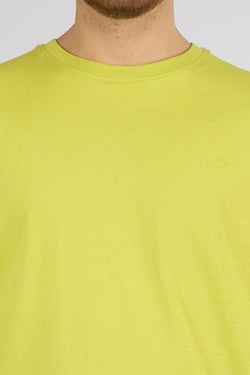 Colore – Lime 37