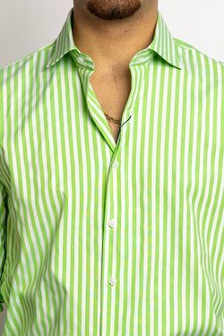 Colore – Lime