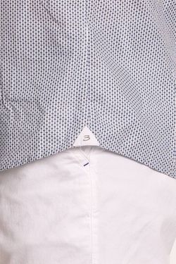 Colore – Occhio Pernice Grigio Blu