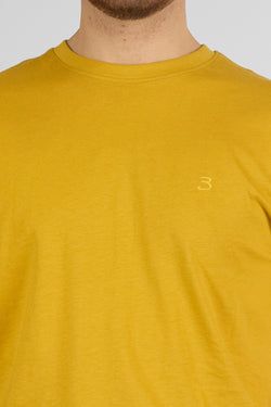 Colore – Senape 34