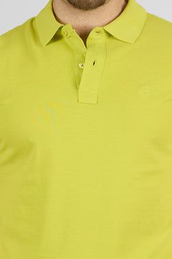 Colore – Lime 37