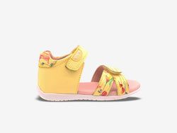 ALSO AVAILABLE IN – Lemon
