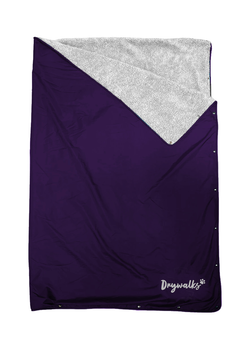 Colour – Purple