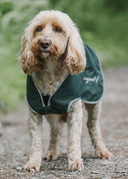 Colour – Forest Green