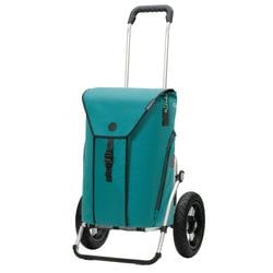 Petrol