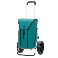 Petrol
