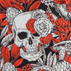 Halloween – Dark Night Rose