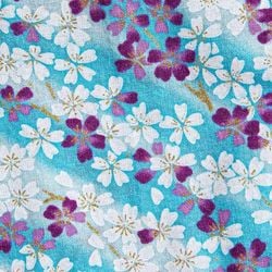 Sakura – Sakura Petals