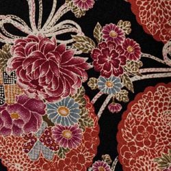 Chrysanthemum – Chrysanthemums