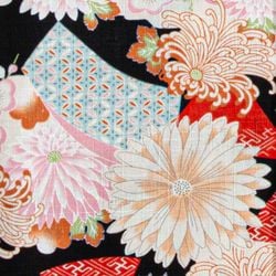 Chrysanthemum – Taisho Chrysanthemum