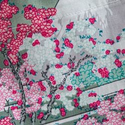 Sakura – Fuji Sakura Breeze