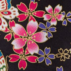 Sakura – Black Pink Sakura