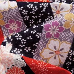 Sakura – Sakura Bokashi