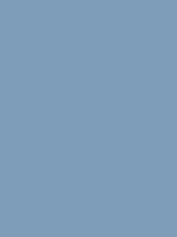 Color – Dusty Blue