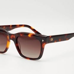 TORTOISE / CHOCOLATE