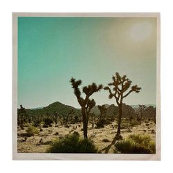 Format – Limited Edition 7 Inch Vinyl