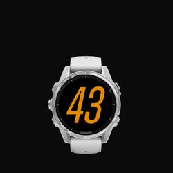 Case Size – 43 mm