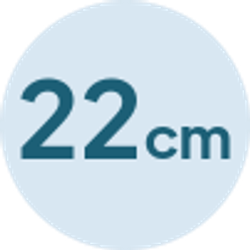 22cm