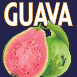 Flavor Selected – Guava/Guayaba