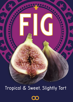 Fig/Higo