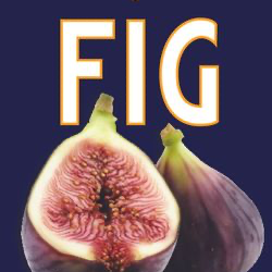 Flavor Selected – Fig/Higo