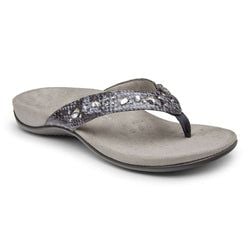 Slate Grey Snake