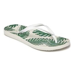 Palm White
