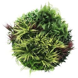 Artificial Green Wall Disc Art Grassy Fern (UV Resistant) (White) 80cm
