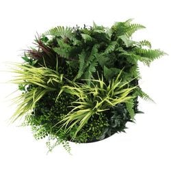 Artificial Green Wall Disc Art Grassy Fern Fields (UV Resistant) (Black) 50cm