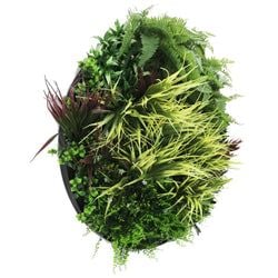 Artificial Green Wall Disc Art Grassy Fern (UV Resistant) (Black) 80cm