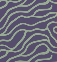 Misc – Groovin - Mint/Purple