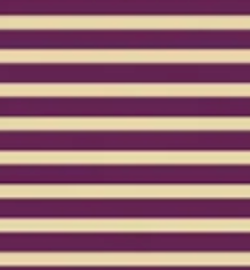 Tight Stripes - Purple/Cream