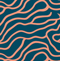 Misc – Groovin - Navy/Peach