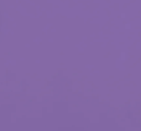 Checkers/Solids – Vibey Purple