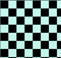 Checkered - Teal/Black