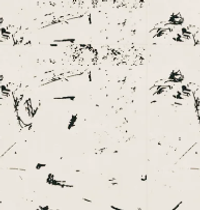 Design – Drip - Cream