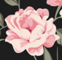 Design – Roses